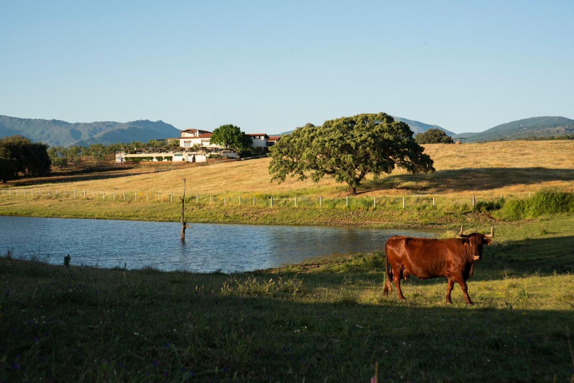 Habitat Cigueena Negra Valverde del Fresno Zewnętrze zdjęcie